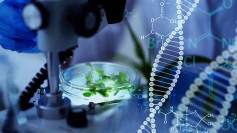 Image result for Genetic Engineering Background