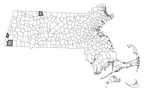 Black Cohosh | Mass.gov