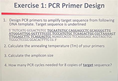 Image result for PCR Primer Example