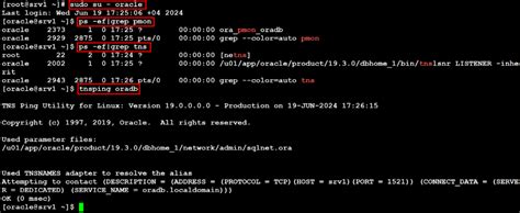 Image result for How to Install Oracle SQL Developer in Windows 10