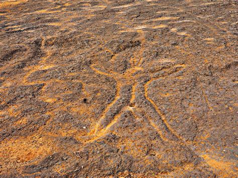 D'source Design Gallery on Prehistoric Creations on the Rock in Goa ...