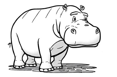 Premium AI Image | Cute hippo drawing line art illustration