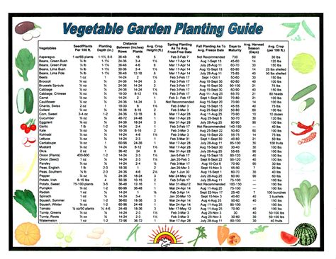 Gardening Australia Vegetable Planting Guide - Hobby Granding