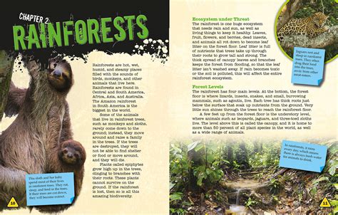 Image result for Intro Book Page Design