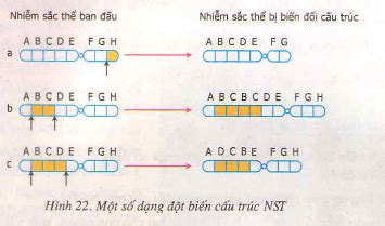 AMBIL SEKARANG