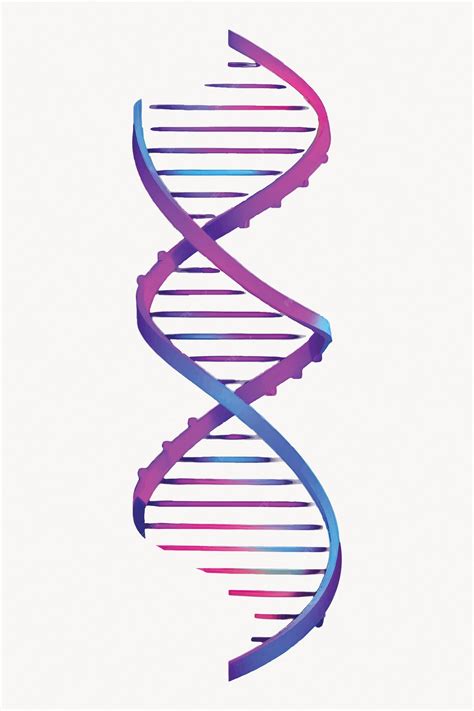 DNA Vector 的图像结果