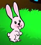 Image result for Cute Bunny PNG PFP