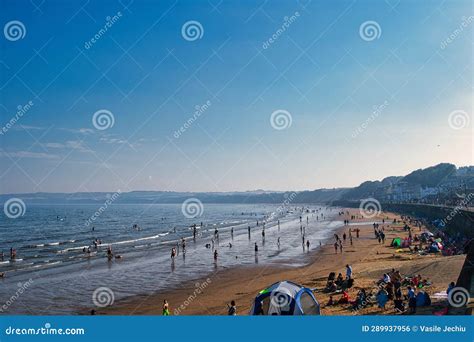 Busy Beach Scene 的图像结果