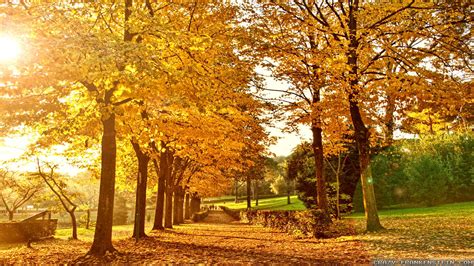 Fall Backgrounds Countryside 的图像结果