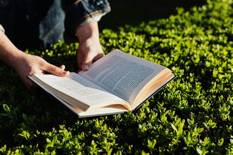 Crop person reading book in park on sunny day · Free Stock Photo