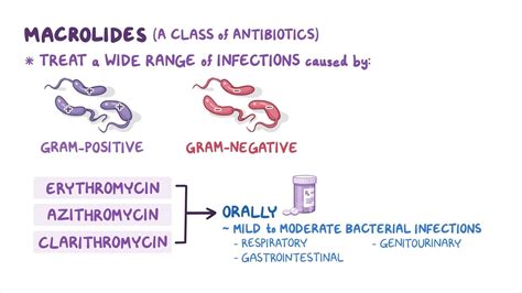 Antibiotics - Macrolides - Osmosis Video Library
