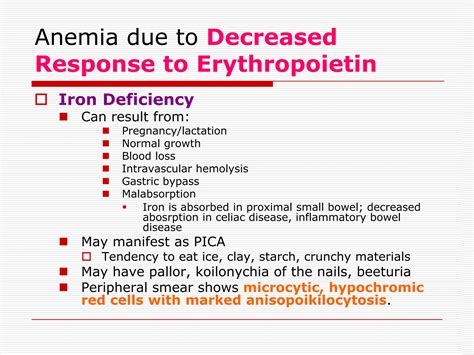 7 Anemia full lecture notes for preparing exam | PDF | Blood Disorders | Diseases and Conditions
