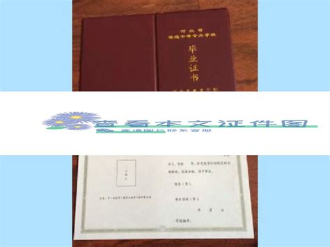 沧州市高中毕业证样本图片及学校名单_毕业证样本网