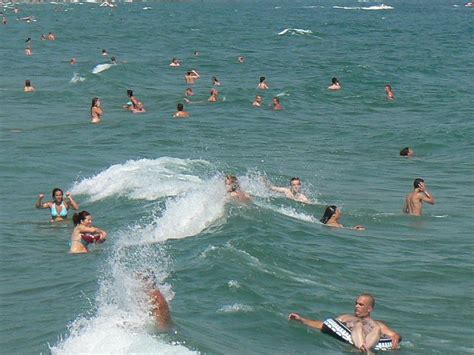 Swimming Beach 的图像结果