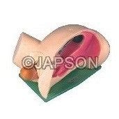 Leopold Maneuvers Simulator – japson.com