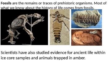 Evolution Environmental Science 的图像结果