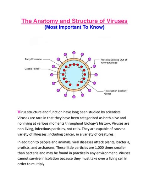 Image result for Virus Anatomy Explained