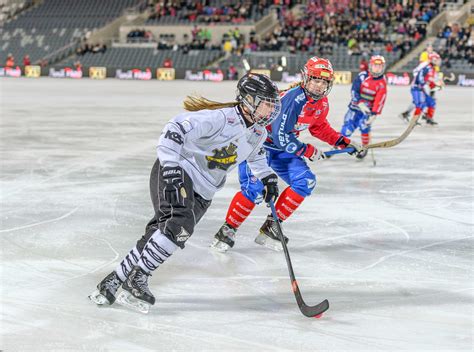 Image result for Hockey