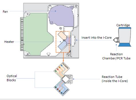 Structure and Function of the CBNAAT Module | Knowledge Base