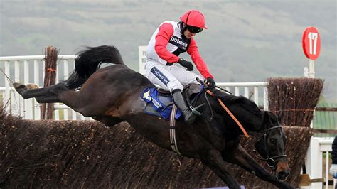 41 entries for Cheltenham feature | Racing News | Sky Sports