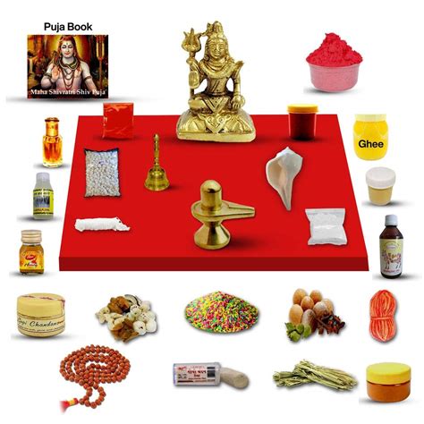 Buy Lord Shiva Puja Kit / Shivji Poojan Samagri for Pooja Hindu ...