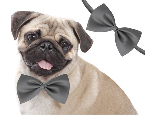 Jumbo Size Adjustable Fashion Party, Function, Weeding Cum Formal ...