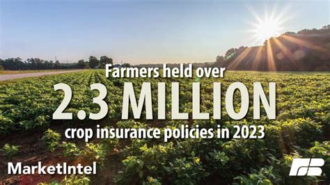 Crop Insurance MathWorks 的图像结果