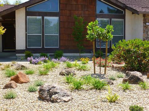 Low Maintenance Yard Ideas