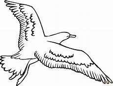 disegno gabbiano disegno di gabbiano in volo da colorare disegni da disegno gabbiano disegno di gabbiano in volo da colorare disegni da