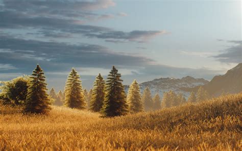 Environment Photography 的图像结果