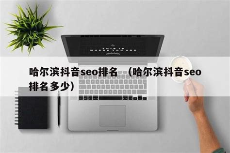 企业网站正规seo优化服务，杜绝黑帽seo - 哔哩哔哩