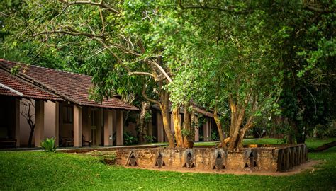 SIGIRIYA VILLAGE HOTEL - Hotel Reviews, Photos, Rate Comparison ...