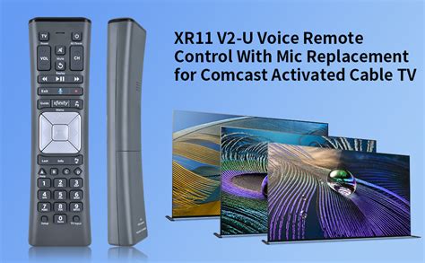 Image result for Xfinity Remote 11 Models