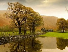 Image result for English Countryside Field Winter