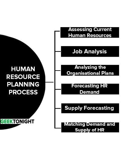 Human Resource Planning Process 的图像结果
