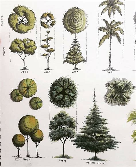 TreePlan 的图像结果