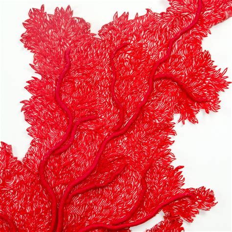 Framed Abyss Red Coral – VAISHALI S
