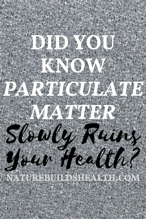 Image result for Particulates Health Effects