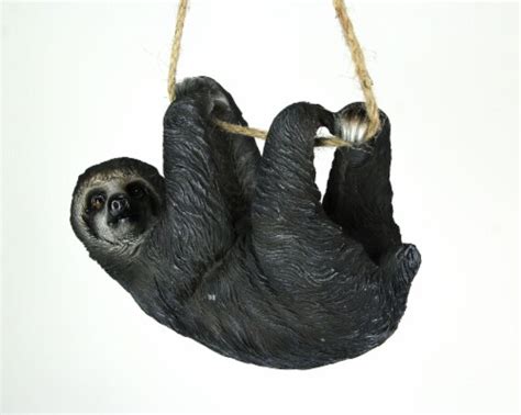 Image result for Hanging Three Toed Sloth