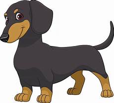 Dachshund Clipart Free by Best Dachshund Illustrations Royalty Free Vector Graphics Dachshund Clipart Free