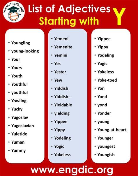 All Adjectives that Start with Y - EngDic