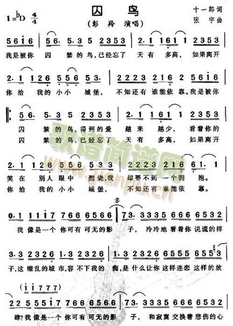 囚鸟1 歌谱简谱网