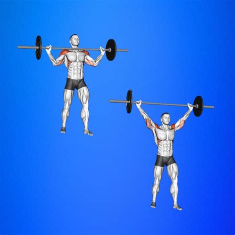 Shoulder And Bicep Workouts: Learn How To Properly Do Them?