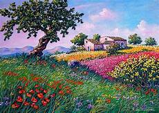 paesaggi fioriti ginestra fiorita antonino cammarata opera celeste network paesaggi fioriti ginestra fiorita antonino cammarata opera celeste network