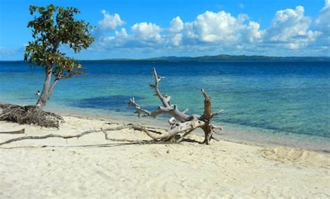 Places to Visit in Bohol : Popular Places to Visit Near Bohol, Tourist ...