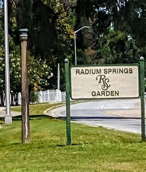 Another Mile Another Destination Blog: Radium Springs Garden, Albany ...