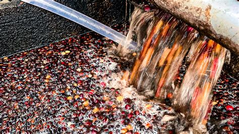 How Is Coffee Processed 的图像结果