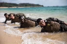 Image result for Intrepid Seakeeper