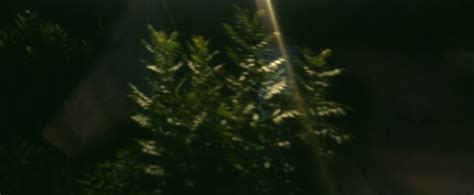 Der Fahrstuhl – enjoying the postapocalypse