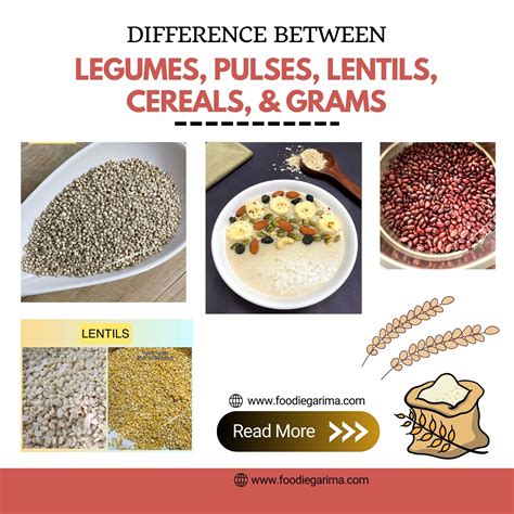 Difference Between Pulses, Cereals, Legumes, Lentils, and Grams ...